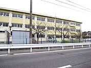 小学校「市立白子小学校まで800m」