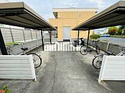 シャンプードレッサー