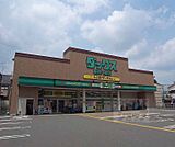 ダックス 葛野八条店まで600m