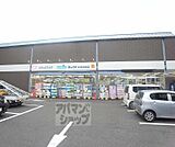 ダックス 嵯峨店まで550m