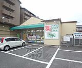 ドラッグひかり 嵯峨店まで230m