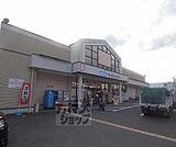 ダックス 右京太秦東店まで280m