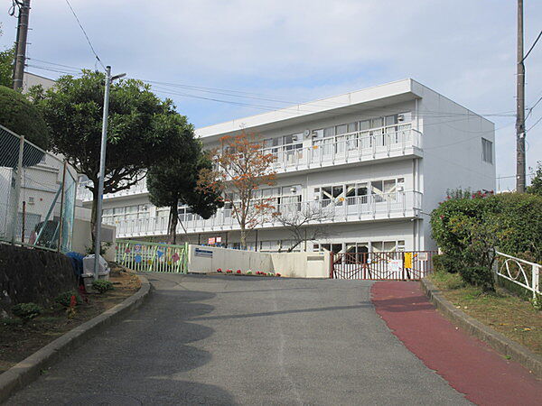 画像24:小学校「秦野市立渋沢小学校まで718m」