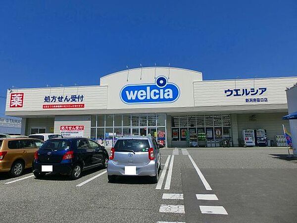 画像24:ウエルシア新潟南笹口店(569m)