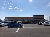albis（アルビス） 森田店（1611m）