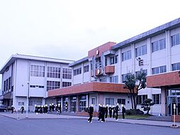 フェリーチェ　VIII