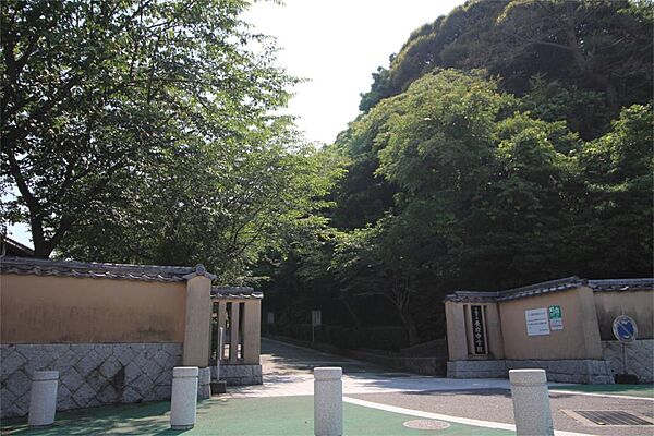 周辺を拡大表示