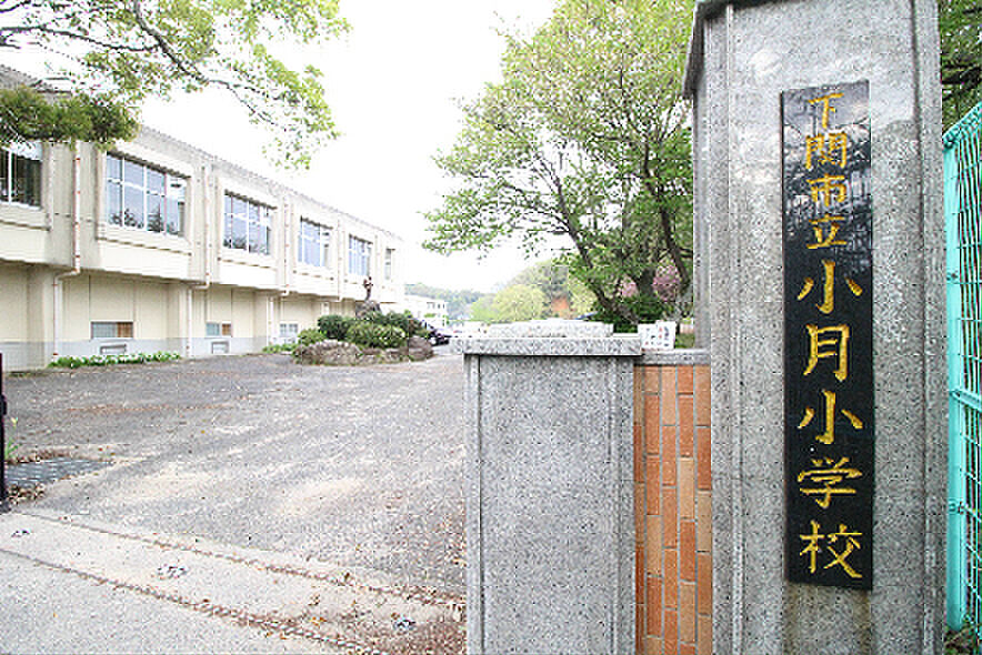 Image 32