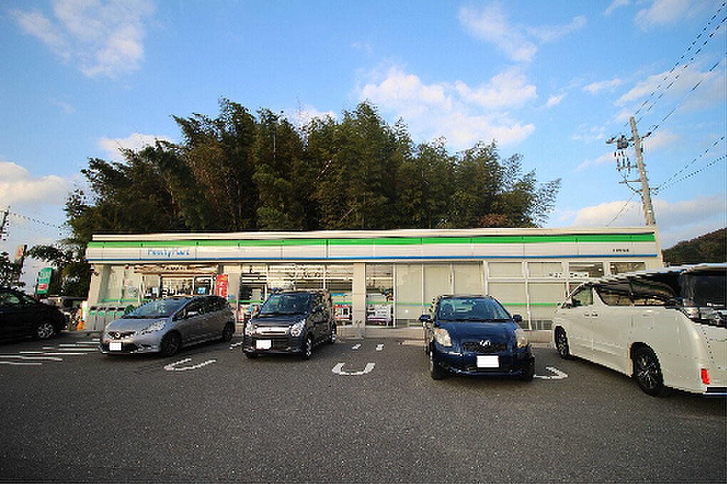 Image 9