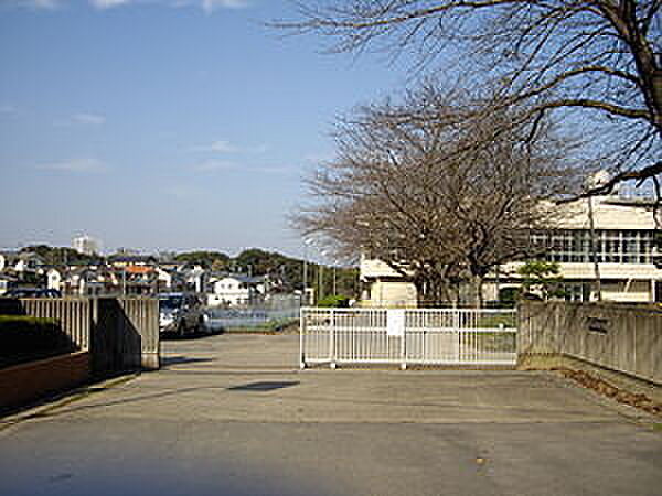 detached 茨城県守谷市本町907-6

地図を見る