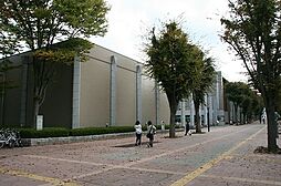 レグラ・デ・オロI