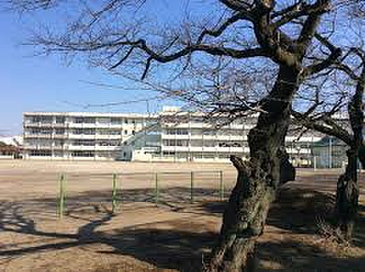 画像22:【中学校】土浦市立第三中学校まで222ｍ