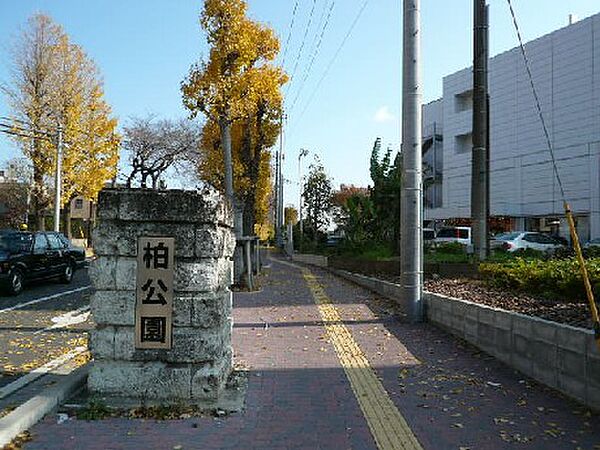 グランディール 101｜千葉県柏市戸張(賃貸アパート1LDK・1階・36.00㎡)の写真 その29