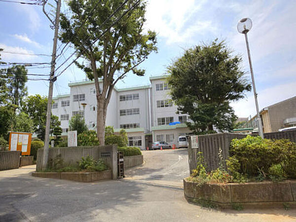 オモト