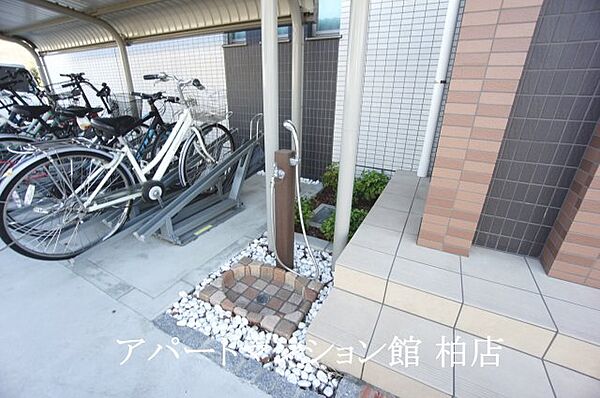 オリエンス