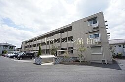 ハピネス　ストーム