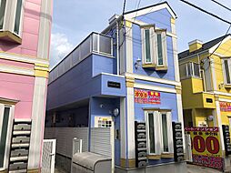 フェリススイートピー