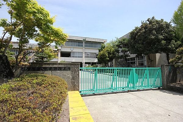 画像4:小学校「徳島市立八万南小学校まで1035m」