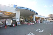 ホームセンター「DCMダイキ万代店まで1683m」