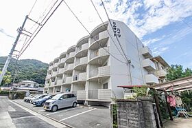 ヒルサイドハイツ 205 ｜ 徳島県徳島市南佐古七番町3-4（賃貸マンション1DK・2階・37.00㎡） その14