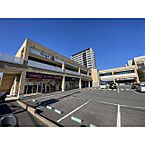 茨城県つくば市東新井：物件画像／桂不動産株式会社　つくば本店 