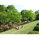 さくら運動公園
