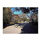 公園「調公園まで290m」調公園