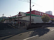 キリン堂 河内磐船店（915m）