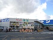 ホームセンターコーナン 枚方野村店（1300m）