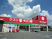 キリン堂 長尾店（1274m）