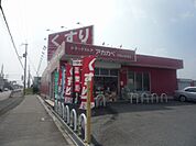 ドラッグストアアカカベ天野が原店（990m）