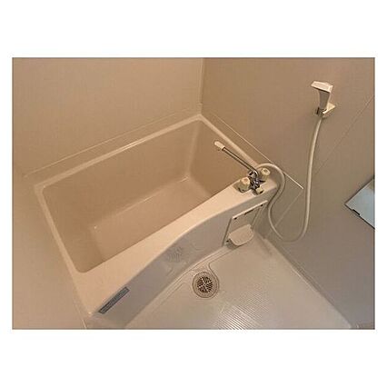 サープラスワンアカハネ_その他_0