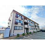 長野県松本市並柳3丁目：物件画像／ミニミニFC塩尻店　株式会社チンタイバンク