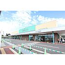 スーパー「ツルヤ並柳店まで562ｍ」