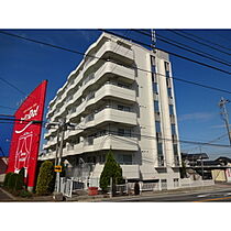 長野県松本市平田東1丁目（賃貸マンション2LDK・3階・58.50㎡） その1