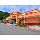 ドラックストア「とをしや薬局蟻ケ崎店まで1293ｍ」