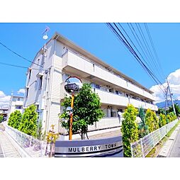 マルベリータウン　シルク
