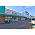 周辺：ドラッグストア 「ウエルシア松本渚店まで766m」