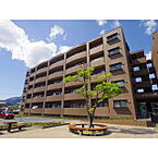 長野県飯田市鼎下山：物件画像／ミニミニFC飯田店　株式会社チンタイバンク