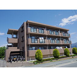 サニーデイパレス