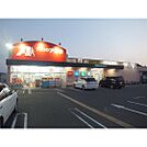 ドラックストア「クスリのアオキ若宮店まで228ｍ」