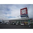 ドラックストア「ドラッグナカジマ塩川店まで362ｍ」