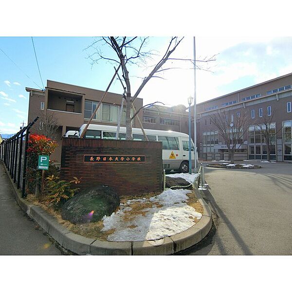 画像24:小学校「私立長野日本大学小学校まで285ｍ」