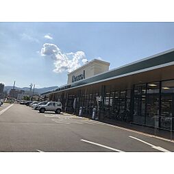 スーパー「デリシア七瀬店まで491ｍ」