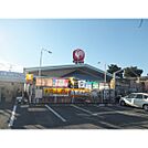 ホームセンター「コメリハード＆グリーン母袋店まで737ｍ」