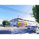 ホームセンター「ケーズデンキ長野本店まで287ｍ」