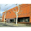 銀行「長野信用金庫本店まで474ｍ」