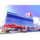 ホームセンター「ヤマダ電機テックランド長野南店まで786ｍ」