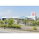 ホームセンター「コメリハード＆グリーン御代田店まで1496ｍ」
