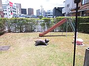 遊具